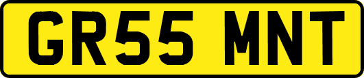GR55MNT