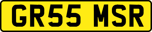GR55MSR