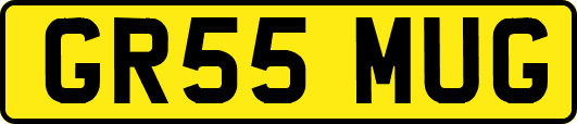GR55MUG