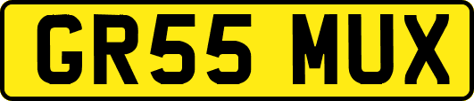 GR55MUX