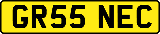 GR55NEC