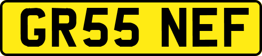 GR55NEF
