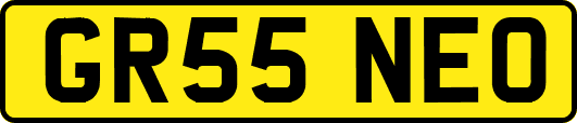 GR55NEO