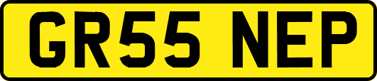 GR55NEP