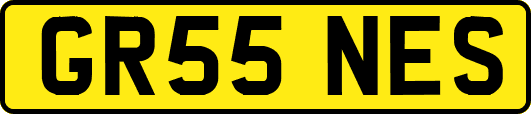 GR55NES