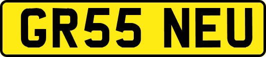 GR55NEU