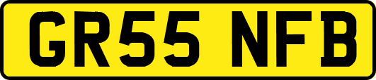 GR55NFB