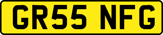 GR55NFG
