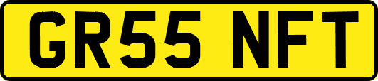 GR55NFT