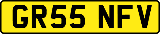 GR55NFV
