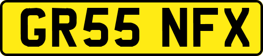 GR55NFX