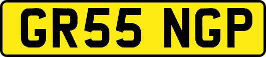 GR55NGP