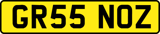 GR55NOZ