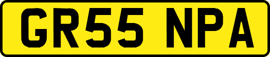 GR55NPA
