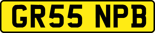 GR55NPB
