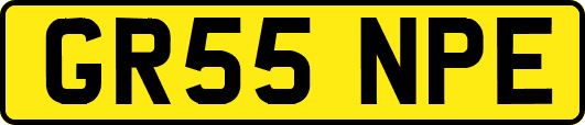 GR55NPE