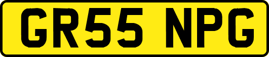 GR55NPG