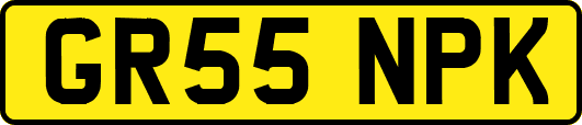 GR55NPK