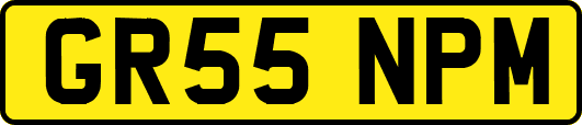 GR55NPM