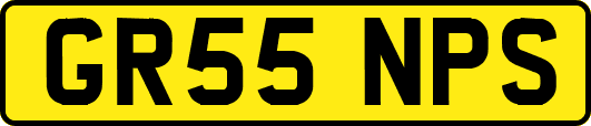 GR55NPS
