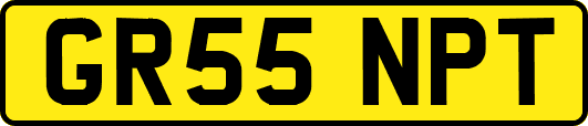 GR55NPT