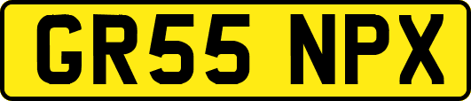 GR55NPX