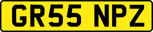 GR55NPZ