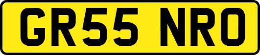 GR55NRO