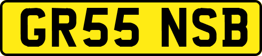 GR55NSB