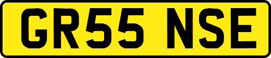 GR55NSE