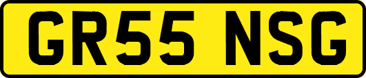 GR55NSG