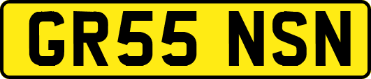 GR55NSN