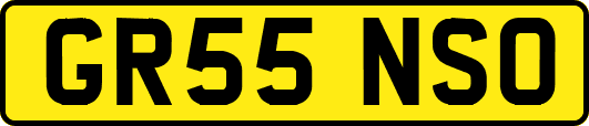 GR55NSO
