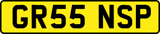 GR55NSP