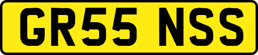 GR55NSS