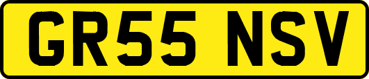 GR55NSV
