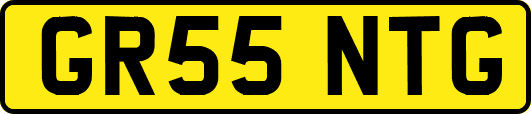 GR55NTG
