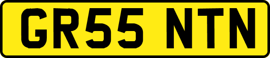 GR55NTN