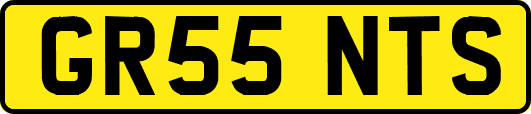 GR55NTS