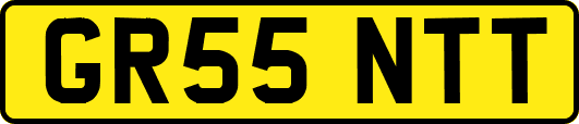 GR55NTT