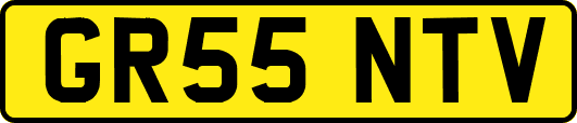 GR55NTV