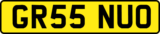 GR55NUO