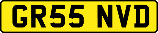 GR55NVD