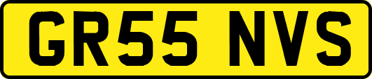 GR55NVS