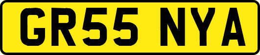 GR55NYA