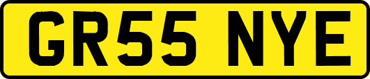 GR55NYE