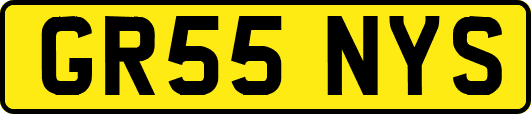 GR55NYS