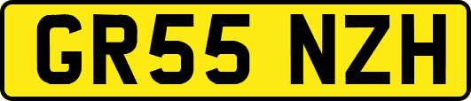 GR55NZH