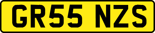 GR55NZS