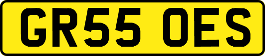 GR55OES